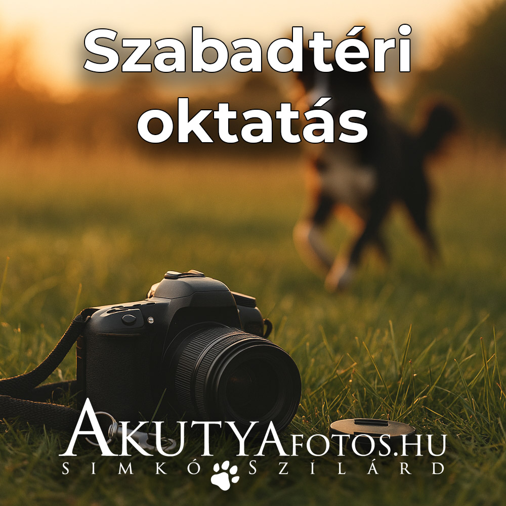 Szabadtéri oktatás (2)