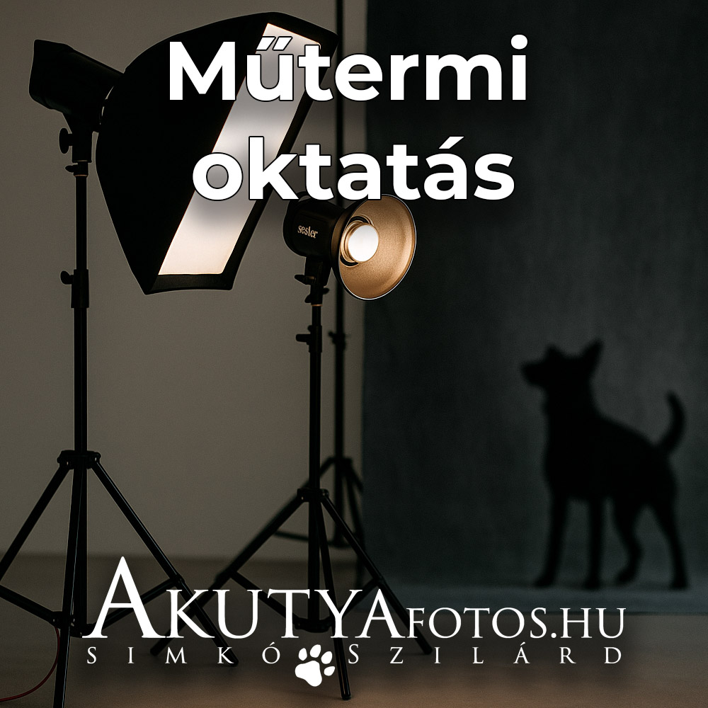 Műtermi oktatás (2)