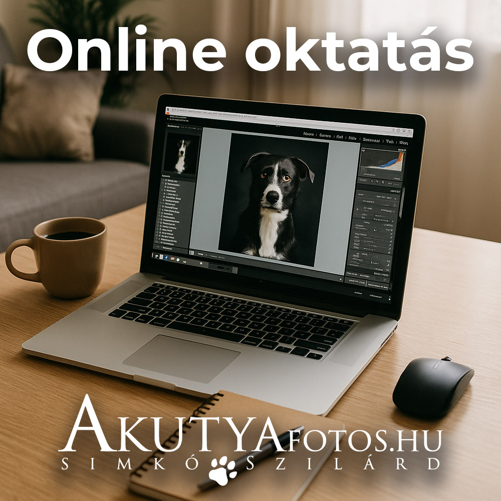 Online oktatás 4 óra (2)